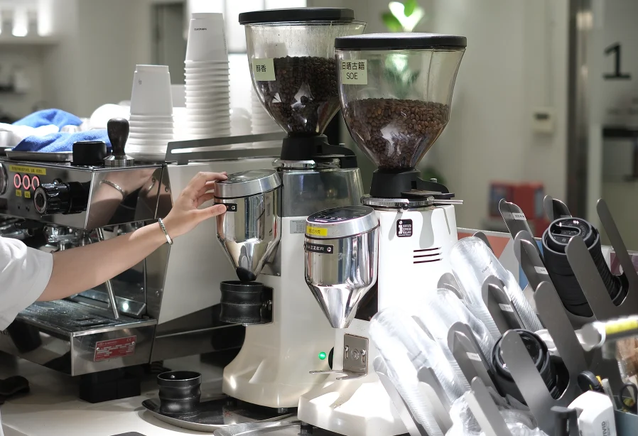 gear-Mazzer Robur S